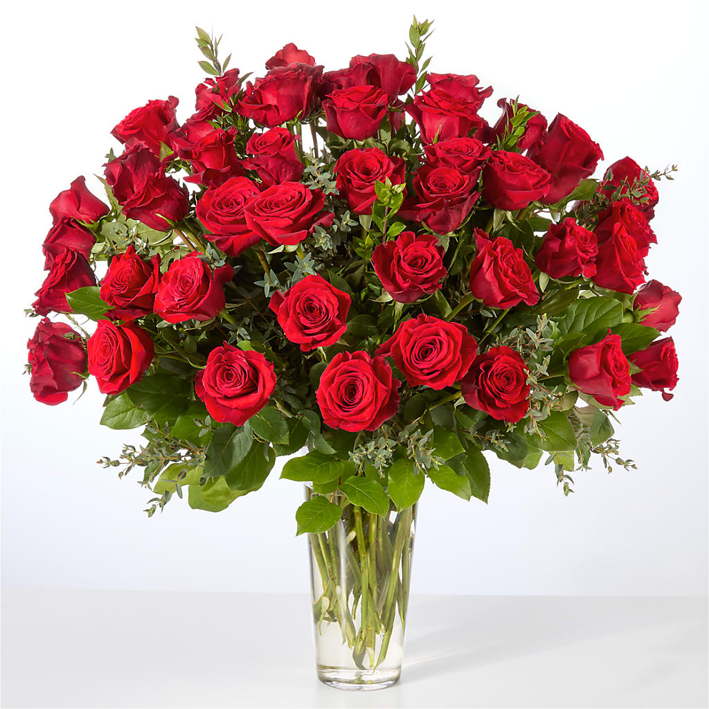 Forever Yours Fifty Stem Red Rose Bouquet – Catta Flowers Llc, Kennedale TX