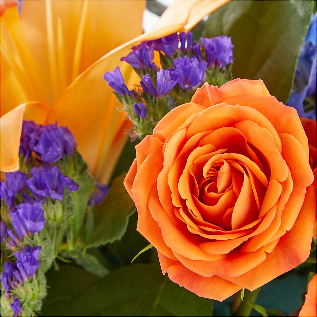 Radiant Citrus Box Bouquet –  Catta Flowers Llc, Kennedale TX