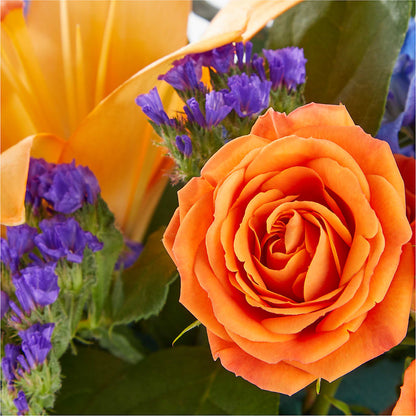 Radiant Citrus Box Bouquet –  Catta Flowers Llc, Kennedale TX