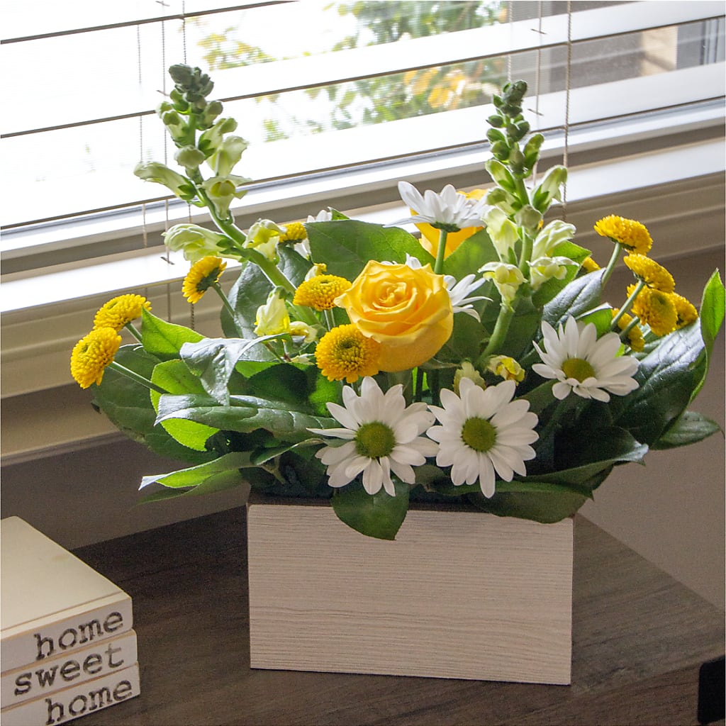 Sun Salutation Box Bouquet –  Catta Flowers Llc, Kennedale TX