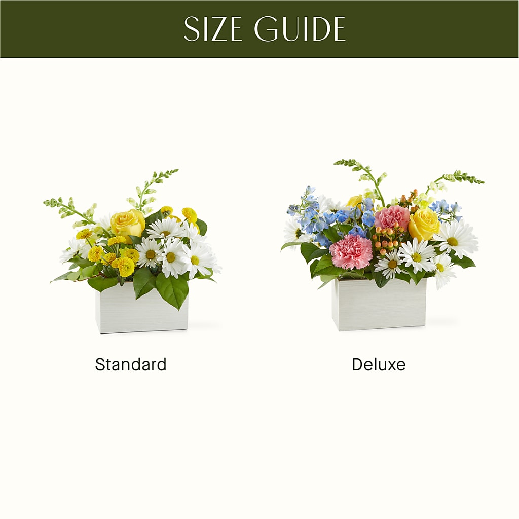 Sun Salutation Box Bouquet –  Catta Flowers Llc, Kennedale TX