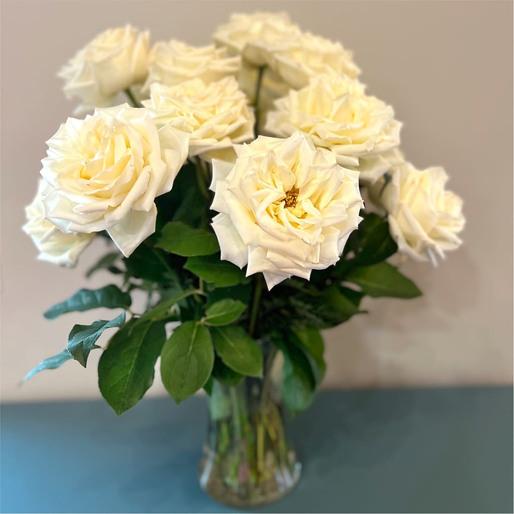 Long Stem Yellow Rose Bouquet –  Catta Flowers Llc, Kennedale TX