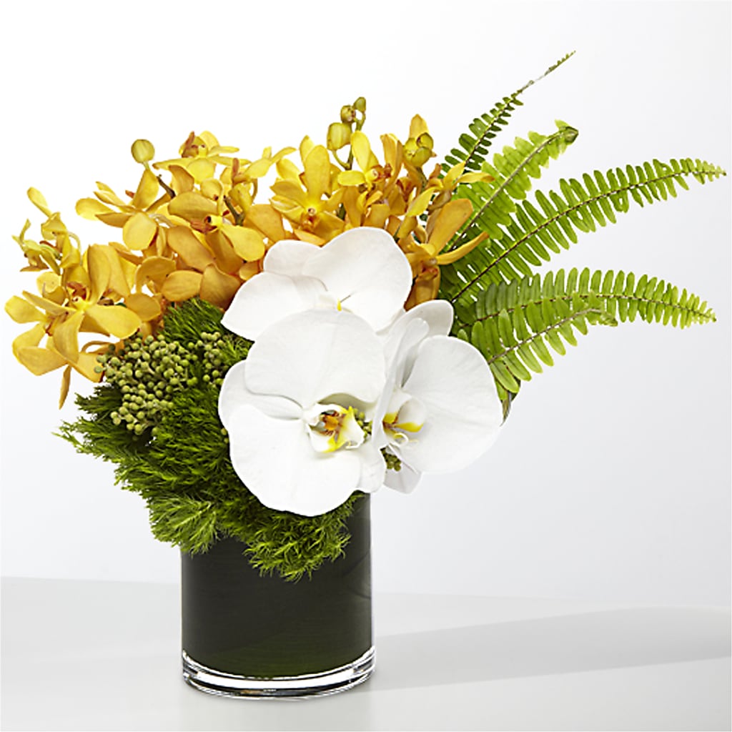 The Tropics –  Catta Flowers Llc, Kennedale TX