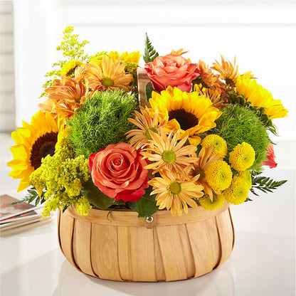 Harvest Sunflower Basket –  Catta Flowers Llc, Kennedale TX
