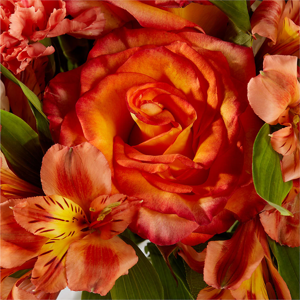 Apricot Glow Bouquet –  Catta Flowers Llc, Kennedale TX