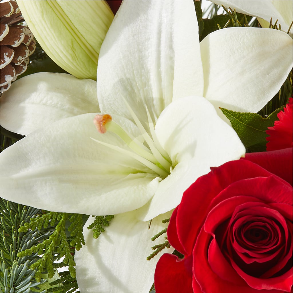 Oh So Jolly Bouquet –  Catta Flowers Llc, Kennedale TX