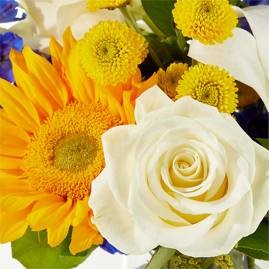 Stargazing Bouquet –  Catta Flowers Llc, Kennedale TX