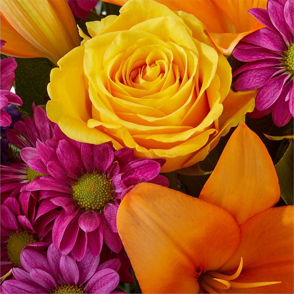 Colorful Visions Bouquet –  Catta Flowers Llc, Kennedale TX