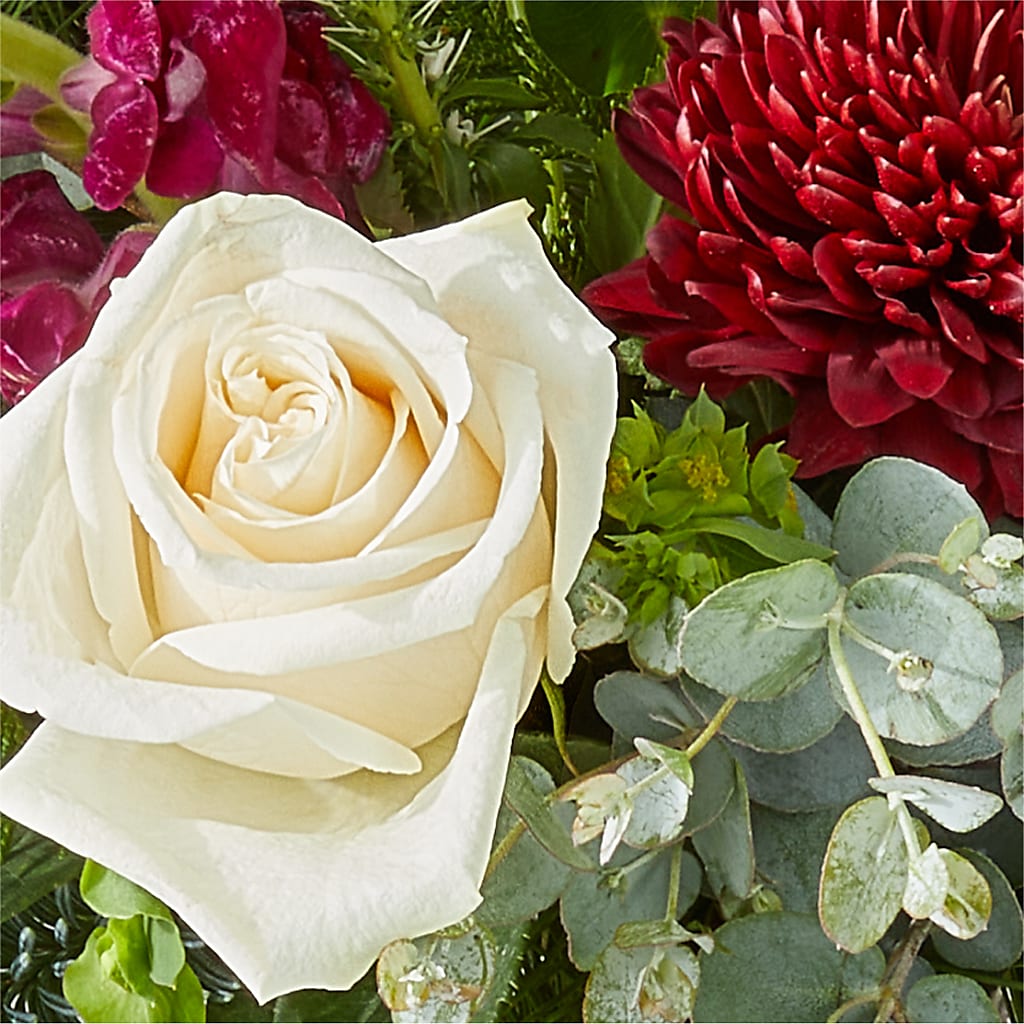 Cranberry Fizz Bouquet –  Catta Flowers Llc, Kennedale TX