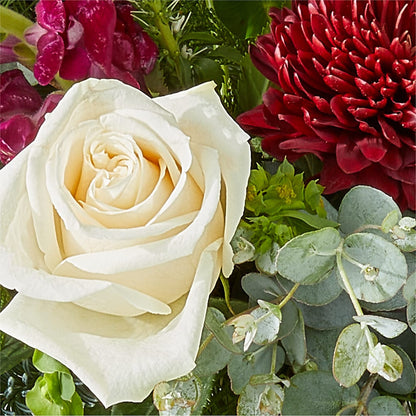 Cranberry Fizz Bouquet –  Catta Flowers Llc, Kennedale TX