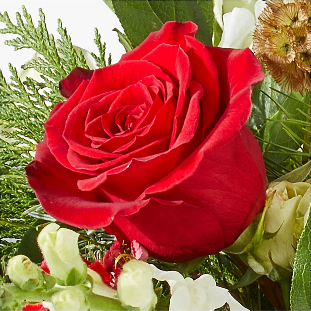 Deck the Halls Bouquet –  Catta Flowers Llc, Kennedale TX