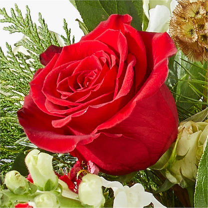 Deck the Halls Bouquet –  Catta Flowers Llc, Kennedale TX