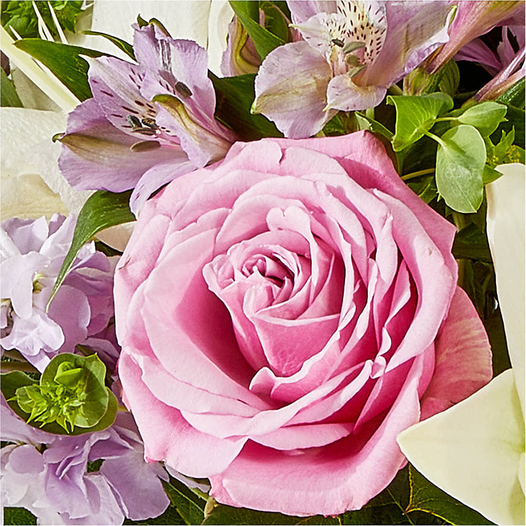 Daydreamer Bouquet –  Catta Flowers Llc, Kennedale TX