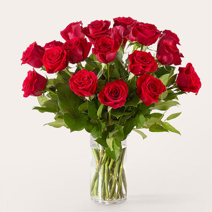 The One Red Rose Bouquet –  Catta Flowers Llc, Kennedale TX