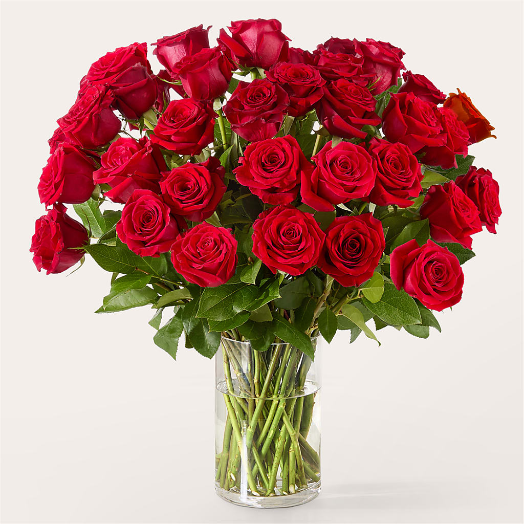 The One Red Rose Bouquet –  Catta Flowers Llc, Kennedale TX