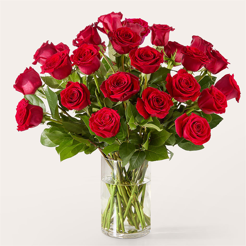 The One Red Rose Bouquet –  Catta Flowers Llc, Kennedale TX