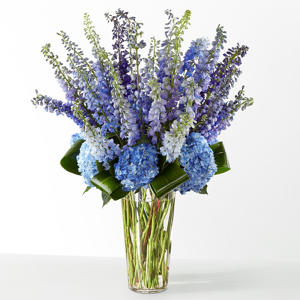The Editorial –  Catta Flowers Llc, Kennedale TX